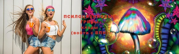гидропоника Бронницы