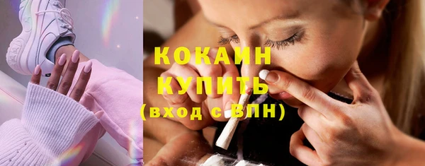 дурь Бородино