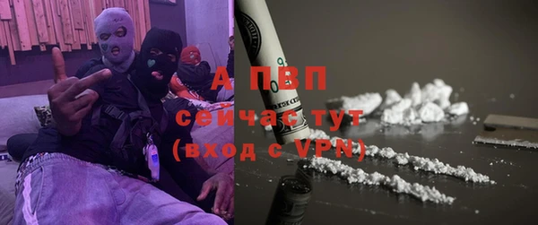 дурь Бородино