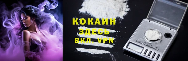 дурь Бородино