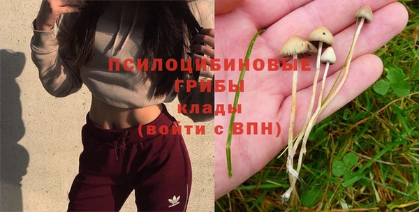 гидропоника Бронницы