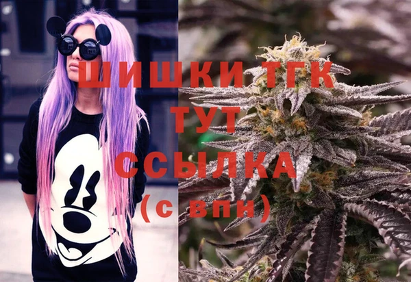 дурь Бородино