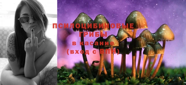 дурь Бородино