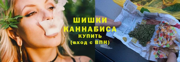 дурь Бородино