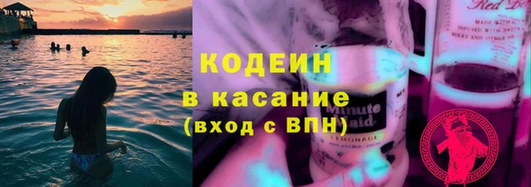 дурь Бородино