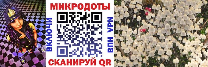 Купить  Сасово  Галлюциногенные грибы Psilocybine cubensis 